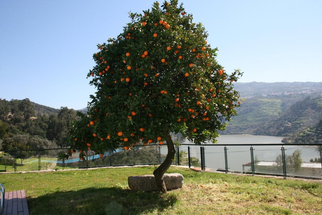 Quinta Das Quintas & Spa Baião Exterior foto