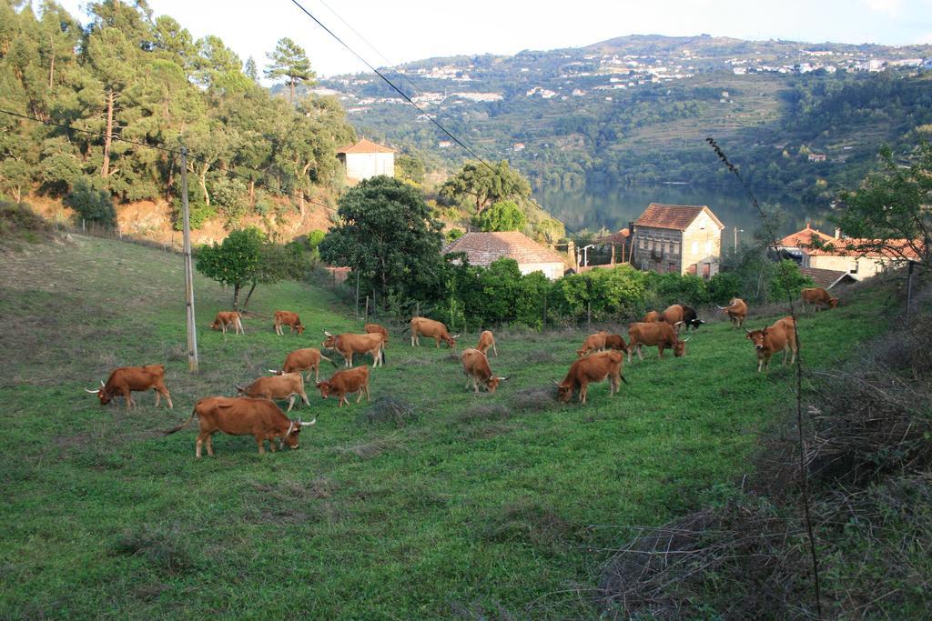 Quinta Das Quintas & Spa Baião Exterior foto